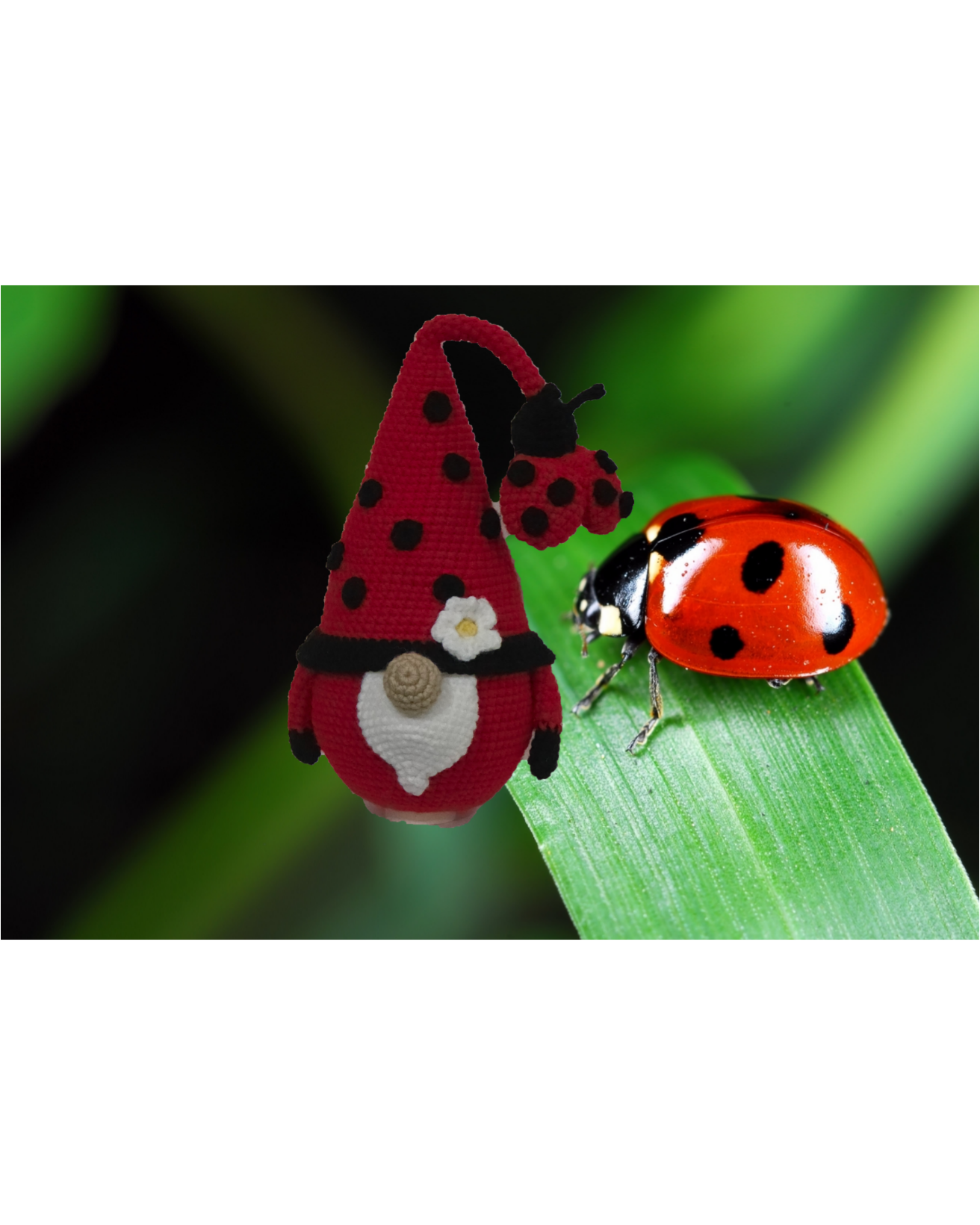 Ladybug Gonk